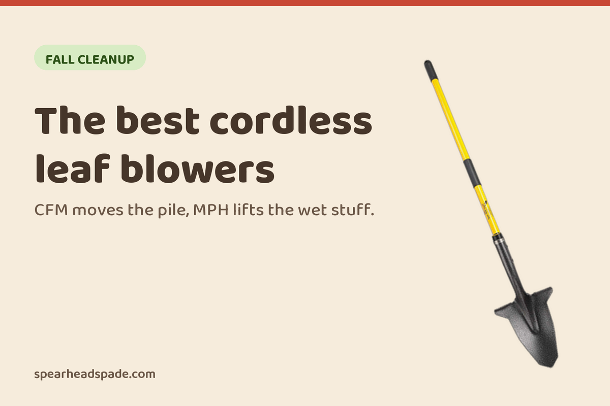 The 6 Best Cordless Leaf Blowers (2026)