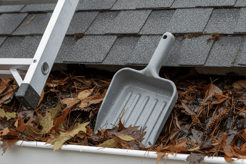 plastic gutter scoop resting in a roof gutter packed with wet leaves and pine needles