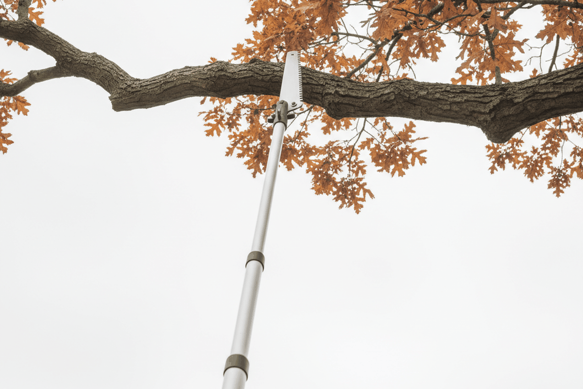 telescoping pole saw with a straight steel saw blade head