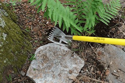 The stainless hoe head resting on a lichened boulder in a rocky fern lined border, tines and blade face both readable. Garden Hoe Types and Uses: How to Choose the Right One for Weeding and Cultivating