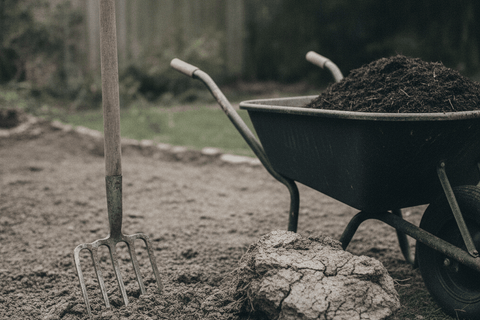 garden fork driven into heavy grey clay soil with a wheelbarrow of dark compost beside it