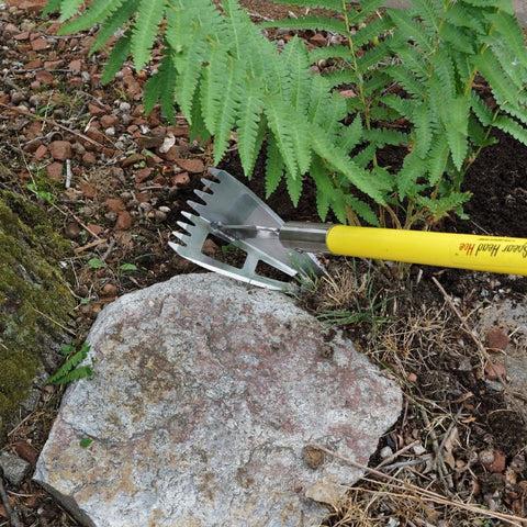 Spear Head Hoe weeding by hand between garden plants and a rock