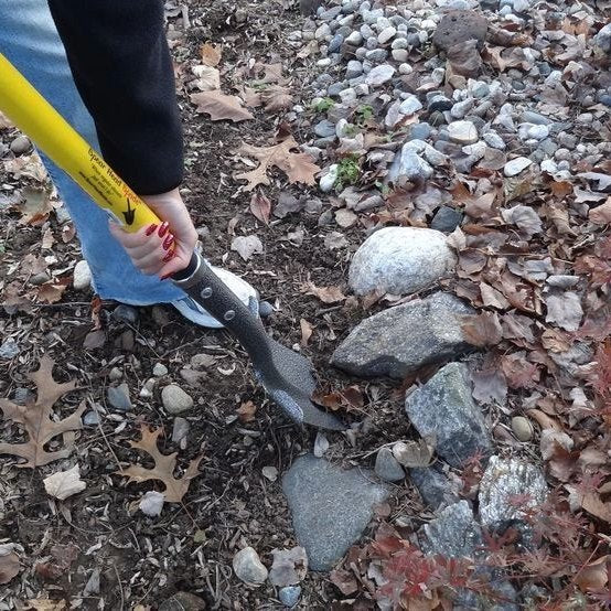 Spear Head Spade slicing into rocky soil