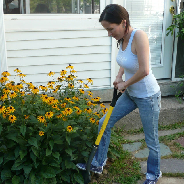 Gardener digging with the Spear Head Spade among black-eyed susans