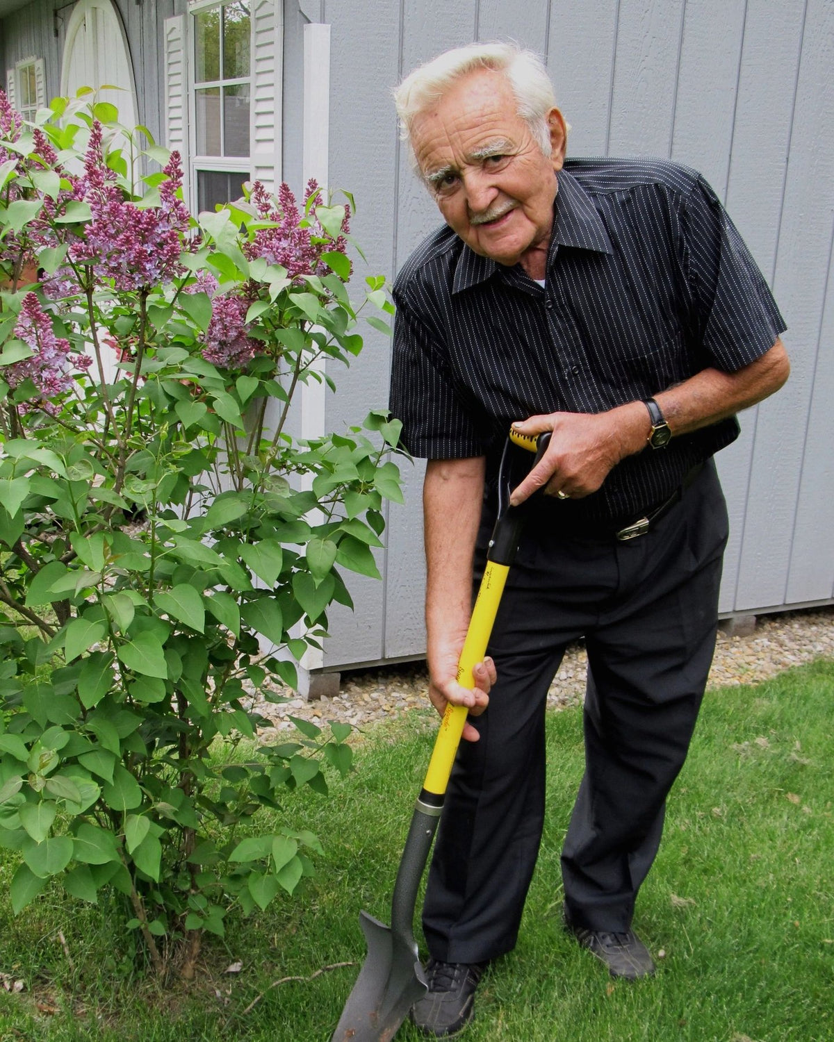 Senior gardener digging upright with one hand on the Spear Head Spade D-grip beside a lilac shrub