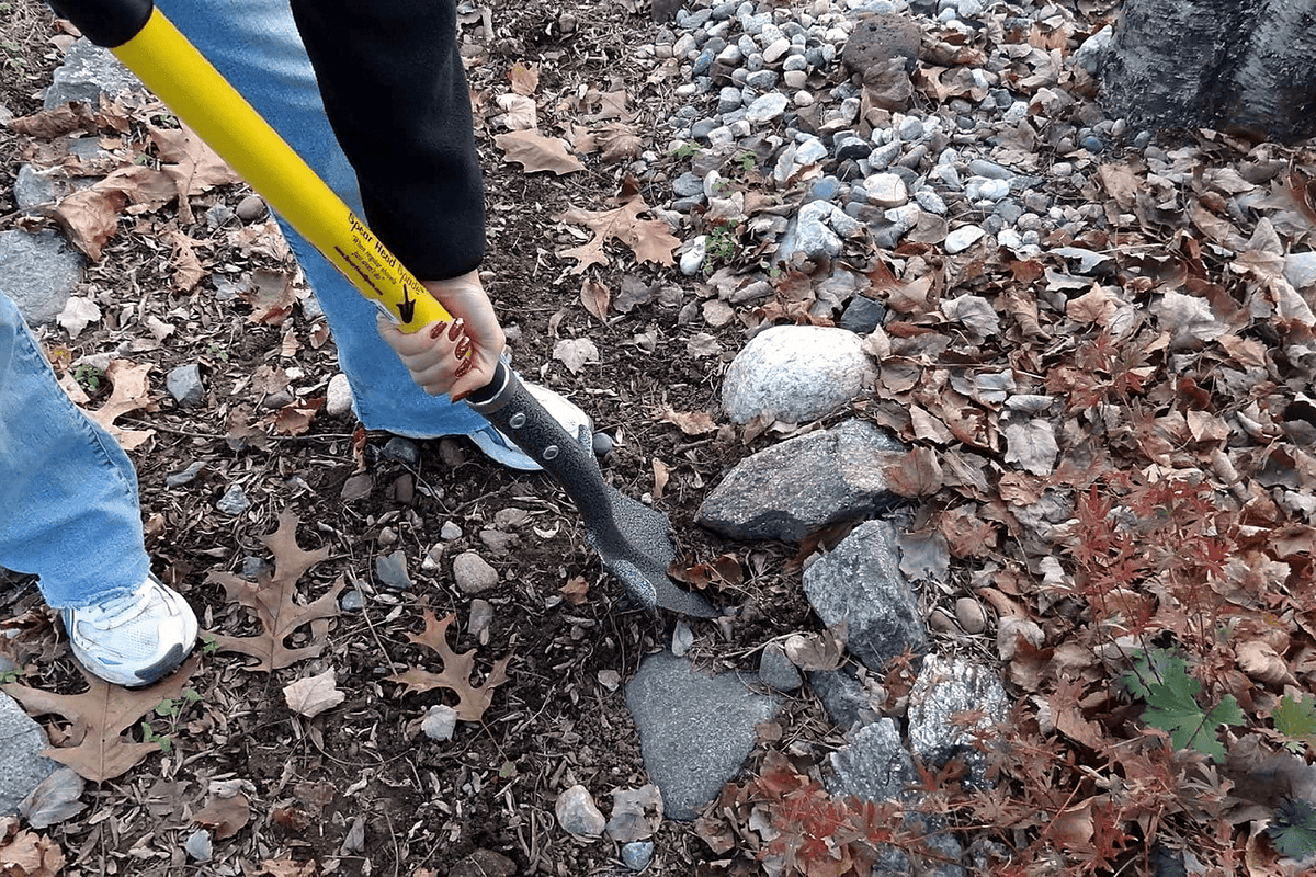 Overhead view of a spade going into stony leaf covered ground, fist sized rocks all around it. The 5 Best Shovels for Digging Clay, Rocks, and Roots
