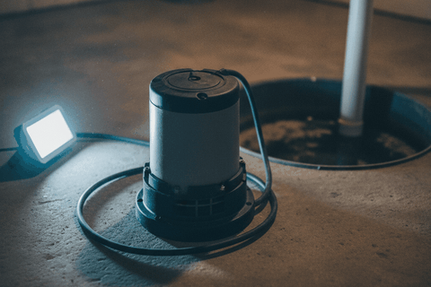 The 7 Best Sump Pumps for Wet Basements (2026): best sump pump in an autumn garden setting