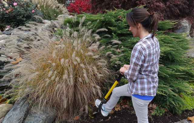 Gardener using the Spear Head long-handle spade in a garden bed