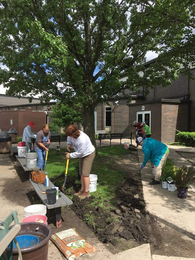 Volunteers digging a new planting bed under a mature tree