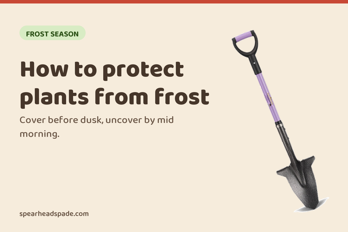 How to Protect Plants From Frost (Plus the Best Frost Cloths)