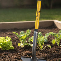 Spear Head Spade SHLF2 planted in a raised garden bed