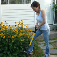 Gardener digging with the Spear Head Spade among black-eyed susans