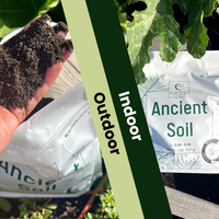 Handful of Ancient Soil beside the bag