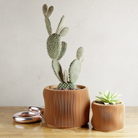Bubbly Planters in Natural Wood, two sizes