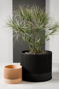 Sakura Planters in Midnight Black and Natural Wood