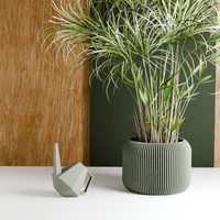 Orbis Planter in Muted Green with a palm
