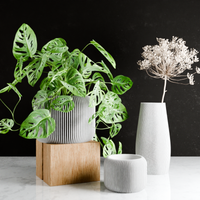 Orbis Planters in Pure White, two sizes