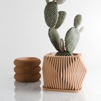 Tide Planter in Natural Wood with a cactus