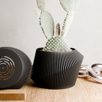 Urban Planter in Midnight Black with a cactus
