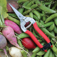 Compact Pruning Shears, Woodland Garden by Womanswork, photo 2