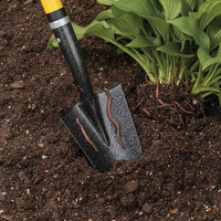Spear Head Spade SHMini blade dividing a clump of perennials in dark soil