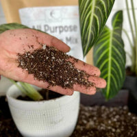 Handful of All Purpose Potting Mix