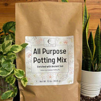 All Purpose Potting Mix 10 lb bag with houseplants