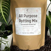 All Purpose Potting Mix 5 lb bag