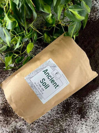 Ancient Soil bag lying on soil