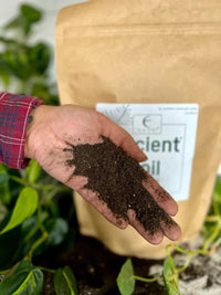 Hand holding Ancient Soil in front of the bag