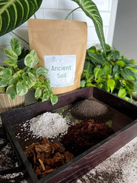 Ancient Soil bag with potting mix ingredients and houseplants