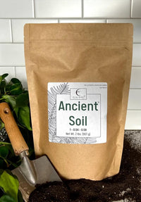 Ancient Soil bag with a garden trowel
