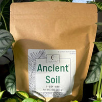 Ancient Soil kraft bag among houseplants
