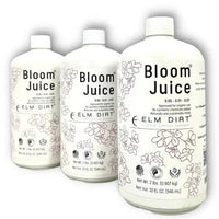 Three 32 oz bottles of Bloom Juice