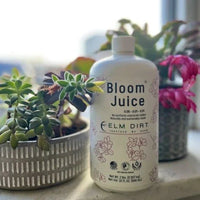 Bloom Juice 32 oz bottle beside flowering houseplants
