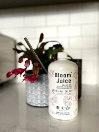Bloom Juice 32 oz bottle on a kitchen counter