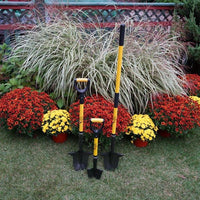Spear Head Spade planted among mums and ornamental grasses in a garden bed