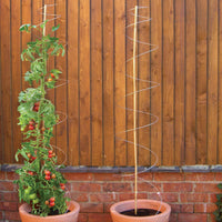 Twisters extendable plant supports