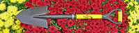 Spear Head Spade SHMini 30 inch small shovel with yellow D-grip handle side view