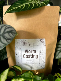 Worm Casting bag among houseplants