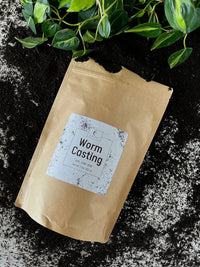 Worm Casting bag lying on dark soil