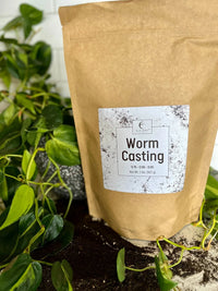 Worm Casting bag with a pothos plant