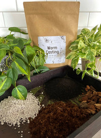 Worm Casting bag with potting mix ingredients and houseplants