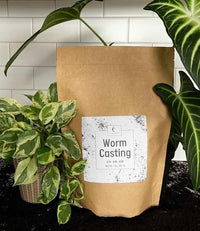 Worm Casting bag with houseplants