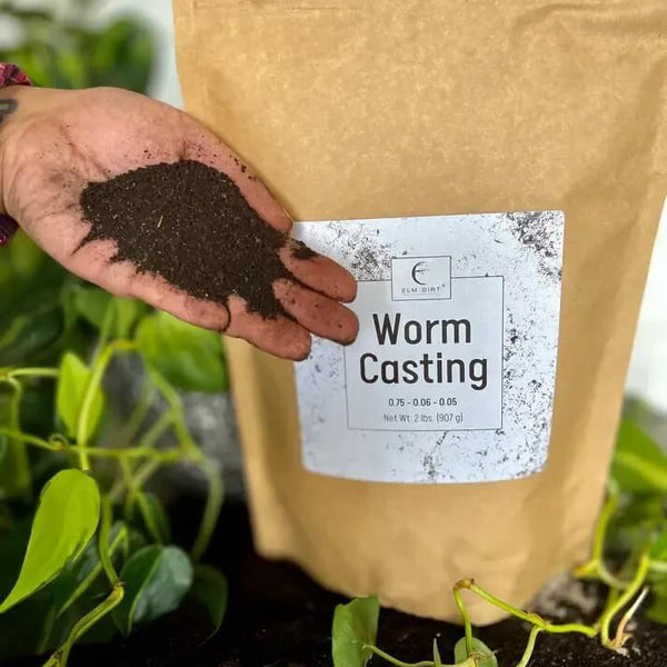 Hand holding worm castings beside the bag