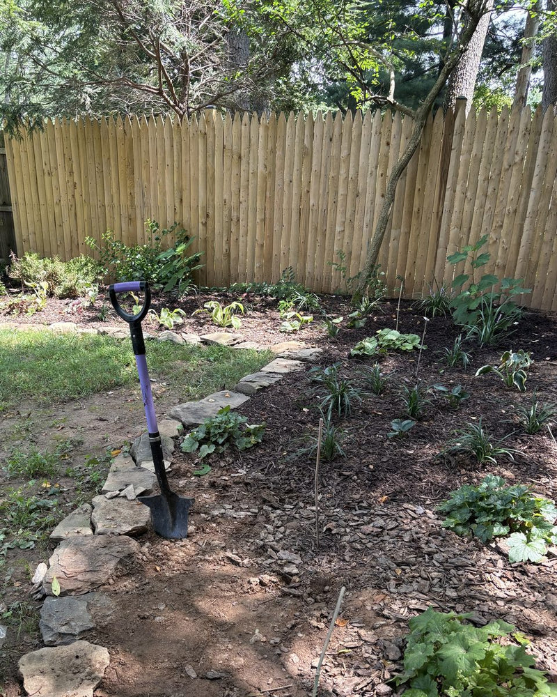 Brenda's lavender D-handle Spear Head Spade standing in a freshly edged bed lined with fieldstone, with heuchera and hostas along a wooden fence
