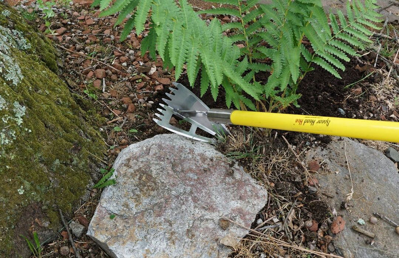 Spear Head Hoe with a yellow handle resting on a rock beside ferns in a garden border