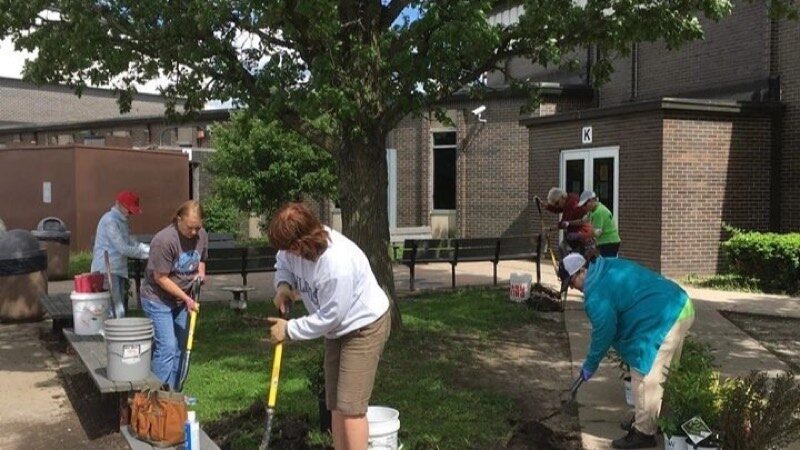 Gardening with ergonomic tools that protect your back and knees