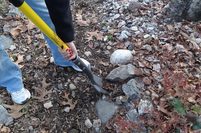 The Spear Head Spade cutting into rocky, root-bound soil